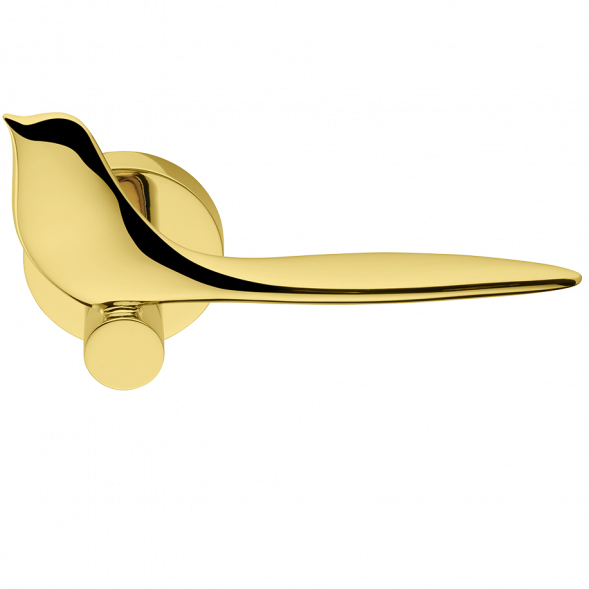 Дверная ручка Colombo TWITTY TK11RSB золото
